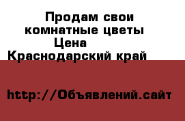 Продам свои комнатные цветы › Цена ­ 500 - Краснодарский край  »    